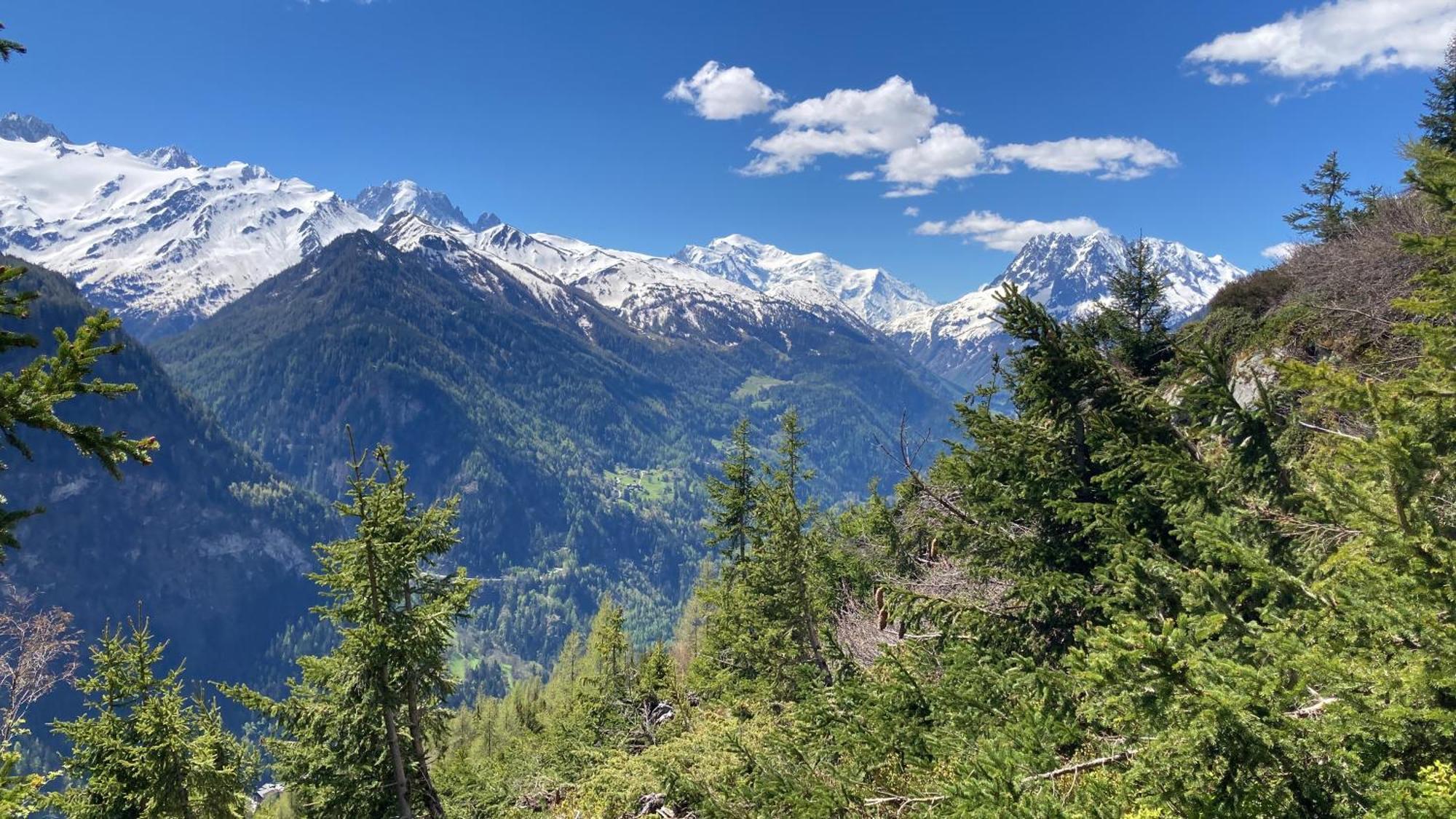 Bel Appartement 2.5 Pieces Avec Balcon, Magnifique Vue Sur Le Glacier Des Grands Finhaut Dış mekan fotoğraf